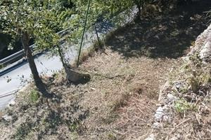 terreni su fasce 