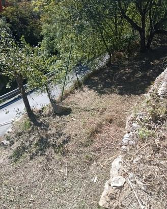 terreni su fasce 