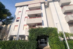 Abitazione abitabile piano 1° con ascensore