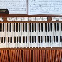 ORGANO LITURGICO VISCOUNT DOMUS 8