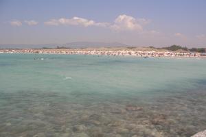 VADA (Livorno) 500 mt mare 3°p bel Bilocale