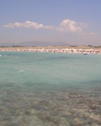 SETT/OTT-VADA (LI) 550mt mare bilocale climatiz