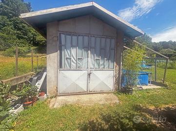 TER. AGRICOLO A PINEROLO