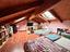Immagine 17