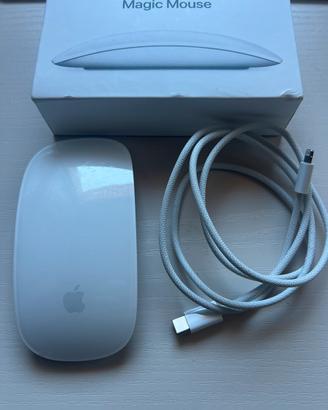 Magic mouse 2