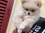 Immagine 1