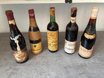 Nebbiolo, barolo, spanna, amarone.