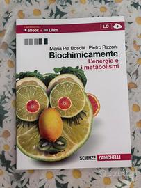 Libri zanichelli per scuola superiore