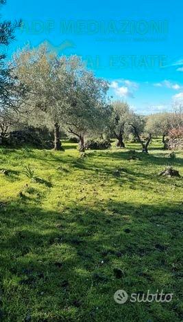Terreno Agricolo Con Rudere - Vista 2