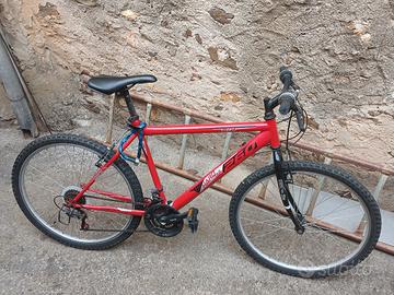 bicicletta fiammante 