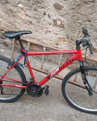 bicicletta fiammante 
