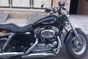 Harley 1200 sportster