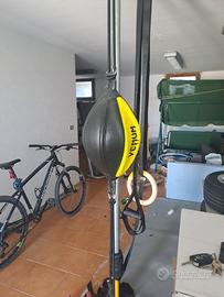 Pera boxe