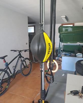 Pera boxe