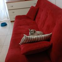 divano letto