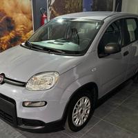 Fiat Panda 1.0 FireFly S&S Hybrid 70cv KM 20'277