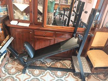 Panca inclinata Technogym 