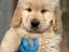 Immagine 19