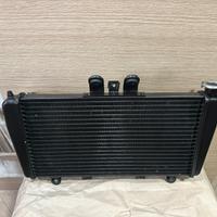 Radiatore Acqua Triumph Speed 1050