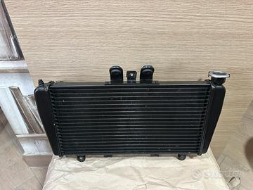 Radiatore Acqua Triumph Speed 1050