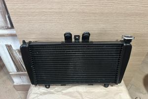 Radiatore Acqua Triumph Speed 1050