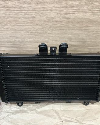 Radiatore Acqua Triumph Speed 1050