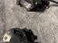 Immagine 2