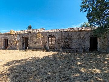 Grande casale con uliveto