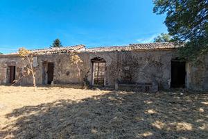 Grande casale con uliveto