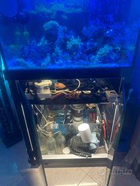 Acquario marino