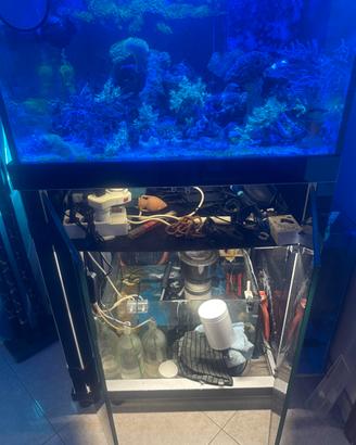 Acquario marino