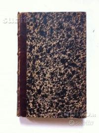 La terre avant le deluge