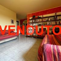 3 LOCALI A PESSANO CON BORNAGO