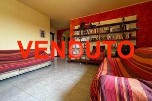 3 LOCALI A PESSANO CON BORNAGO