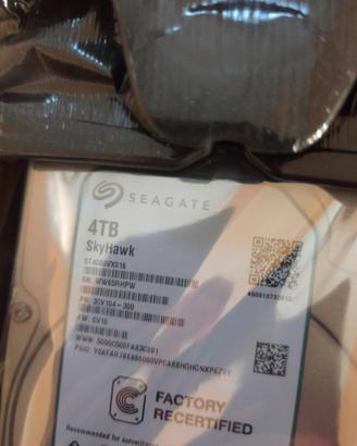 hard disk sata 4 Tb Seagate Skyhawk
