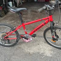 bicicletta 