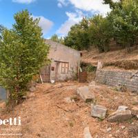 San piero - fabbricato con noccileto