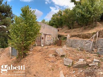 San piero - fabbricato con noccileto