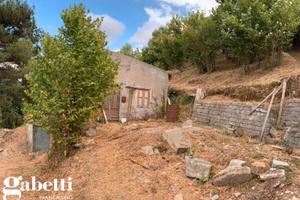 San piero - fabbricato con noccileto