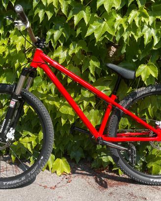 Norco Ryde 26 Dirt Jumper – Condizioni Perfette!