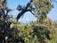 Immagine 26
