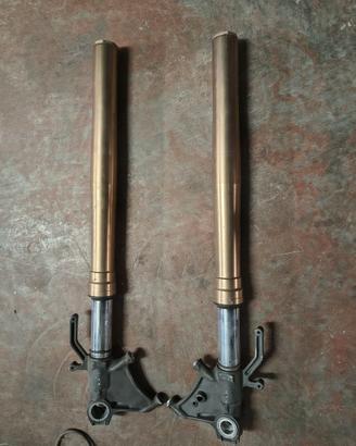 Steli forcelle originali Kawasaki zx 10 2011.