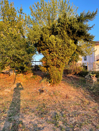 Casa indipendente su 3 lati