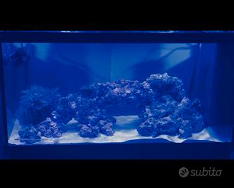 rocce acquario marino