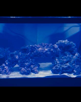 rocce acquario marino
