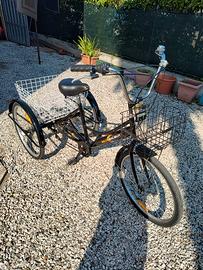 Triciclo per anziani e disabili