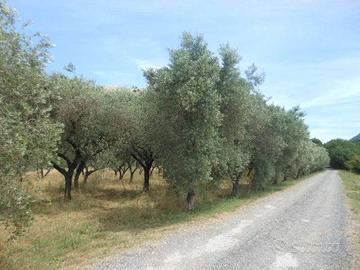 Terreno di 3300 m² a Vairano Patenora