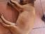 Immagine 6