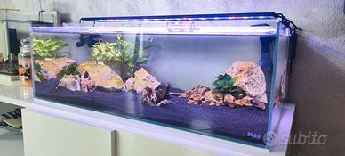 Acquario Extrachiaro Blau con filtro esterno Tetra