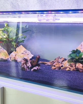 Acquario Extrachiaro Blau con filtro esterno Tetra